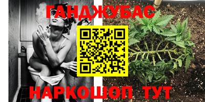 прущие крисы Сланцы