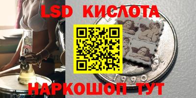прущие крисы Сланцы