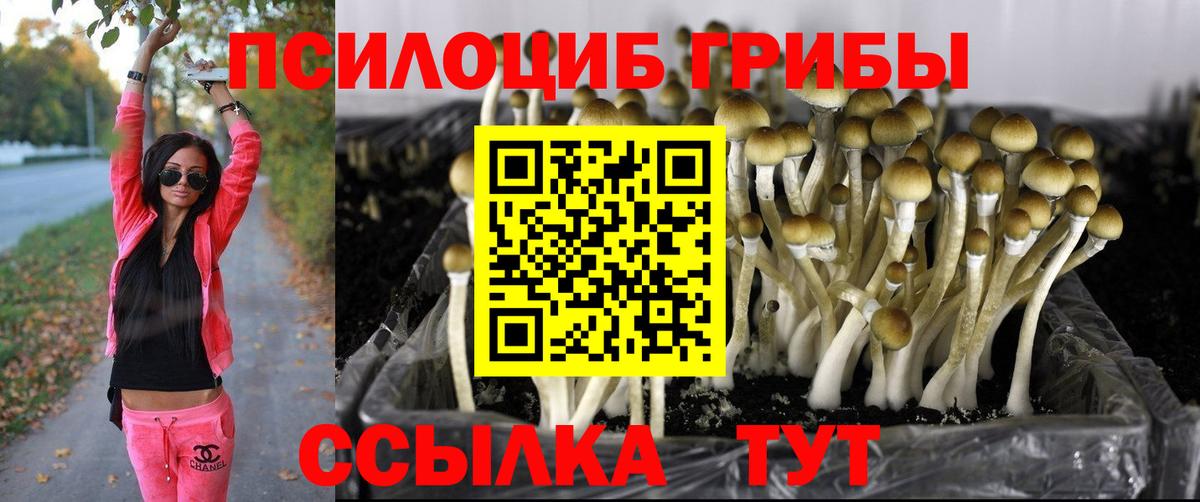 где найти наркотики  Вход с VPN  Холмск  Псилоцибиновые грибы ЛСД 