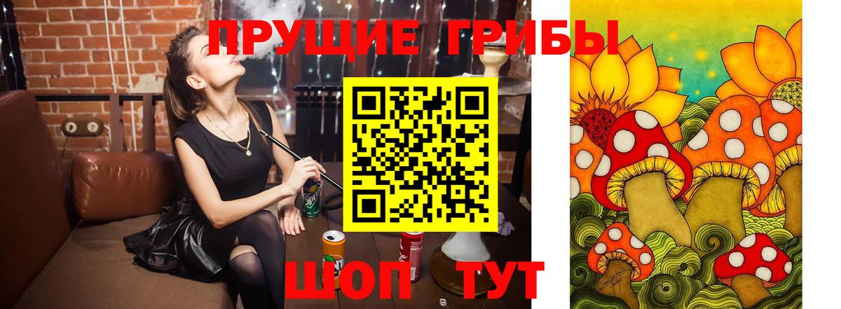Галлюциногенные грибы GOLDEN TEACHER Холмск